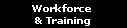 Workforce 
& Training
